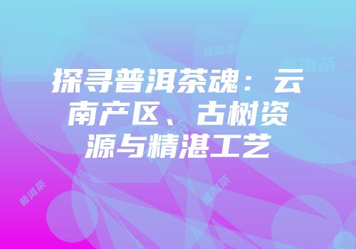 探寻普洱茶魂：云南产区、古树资源与精湛工艺