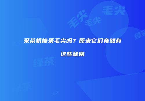 采茶机能采毛尖吗？原来它们竟然有这些秘密