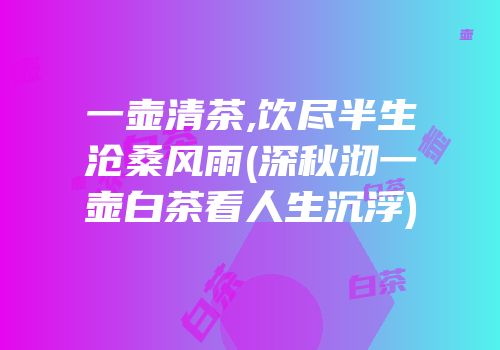 一壶清茶,饮尽半生沧桑风雨(深秋沏一壶白茶看人生沉浮)