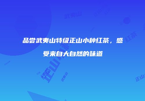 品尝武夷山特级正山小种红茶，感受来自大自然的味道