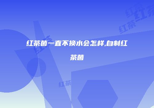 红茶菌一直不换水会怎样,自制红茶菌