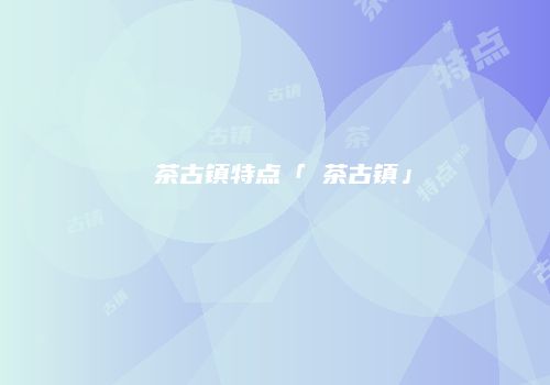 栟茶古镇特点「栟茶古镇」