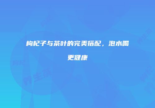 枸杞子与茶叶的完美搭配，泡水喝更健康