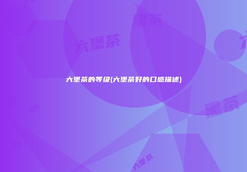 六堡茶的等级(六堡茶好的口感描述)