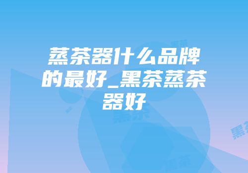 蒸茶器什么品牌的最好_黑茶蒸茶器好