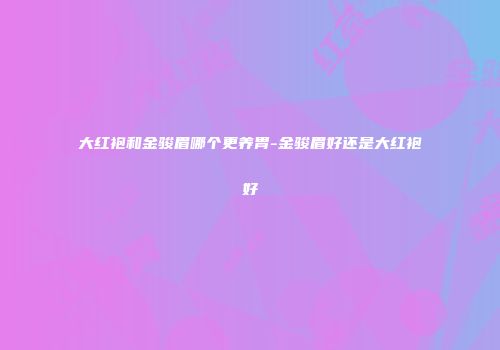 大红袍和金骏眉哪个更养胃-金骏眉好还是大红袍好