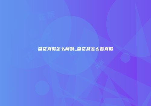 菊花真假怎么辨别_菊花茶怎么看真假