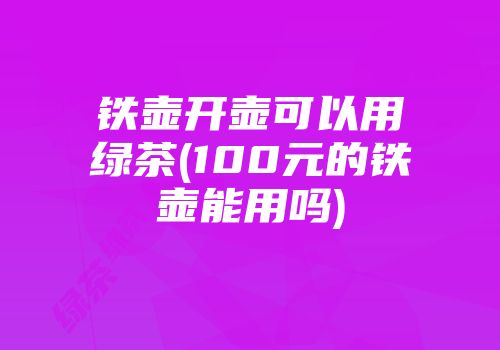 铁壶开壶可以用绿茶(100元的铁壶能用吗)