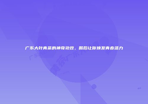 广东大叶青茶的神奇功效，喝后让你焕发青春活力