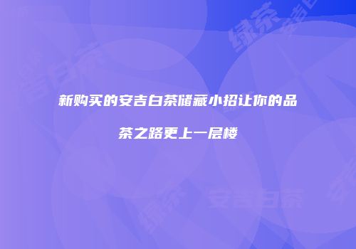 新购买的安吉白茶储藏小招让你的品茶之路更上一层楼