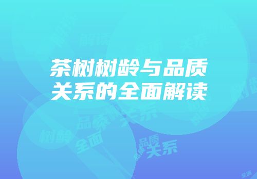 茶树树龄与品质关系的全面解读