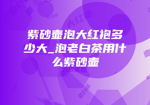 紫砂壶泡大红袍多少大_泡老白茶用什么紫砂壶