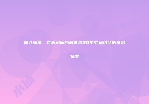 深入解析：老枞水仙的枞味与60年老枞水仙的珍贵特质