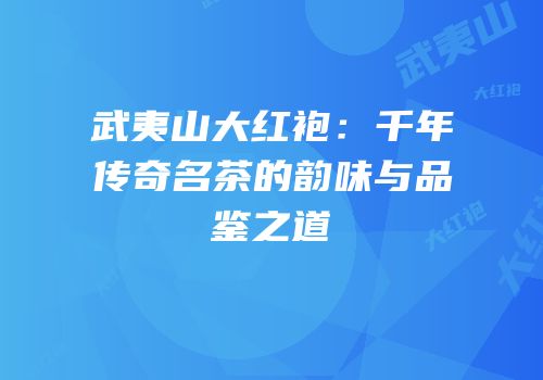 武夷山大红袍：千年传奇名茶的韵味与品鉴之道