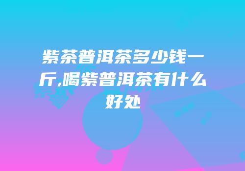 紫茶普洱茶多少钱一斤,喝紫普洱茶有什么好处