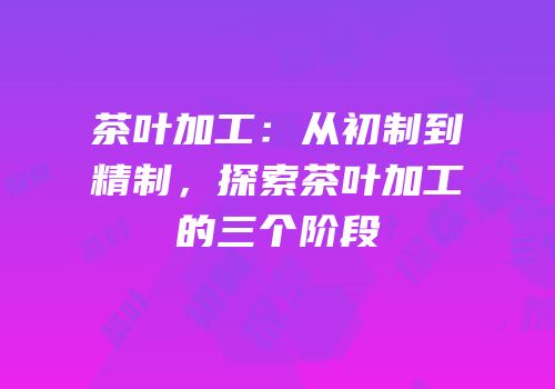 茶叶加工：从初制到精制，探索茶叶加工的三个阶段