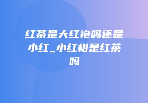 红茶是大红袍吗还是小红_小红柑是红茶吗