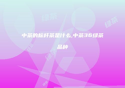 中茶的标杆茶是什么,中茶36绿茶品种