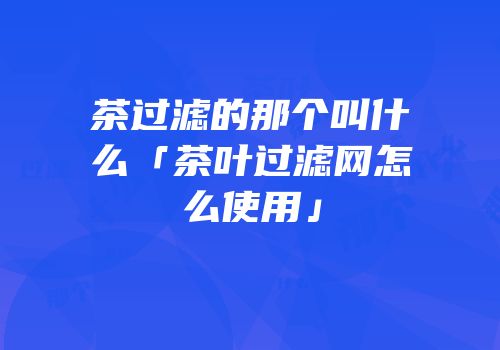 茶过滤的那个叫什么「茶叶过滤网怎么使用」