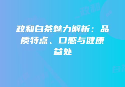 政和白茶魅力解析：品质特点、口感与健康益处