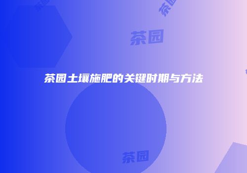 茶园土壤施肥的关键时期与方法