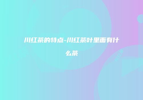 川红茶的特点-川红茶叶里面有什么茶