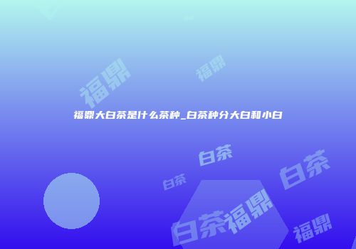 福鼎大白茶是什么茶种_白茶种分大白和小白