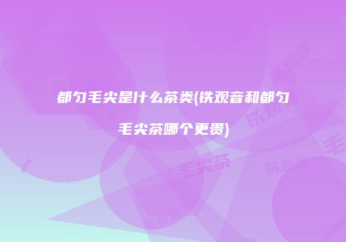 都匀毛尖是什么茶类(铁观音和都匀毛尖茶哪个更贵)