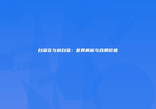 白菊花与杭白菊：差异解析与药用价值
