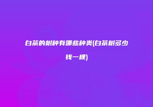 白茶的树种有哪些种类(白茶树多少钱一棵)