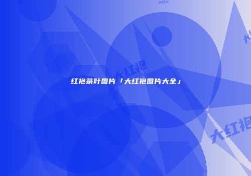 红袍茶叶图片「大红袍图片大全」