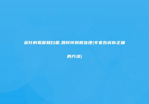 茶叶的霉菌和白霜,如何辨别和处理(专家告诉你正确的方法)
