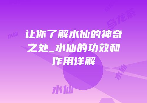 让你了解水仙的神奇之处_水仙的功效和作用详解