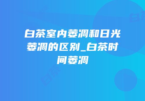 白茶室内萎凋和日光萎凋的区别_白茶时间萎凋