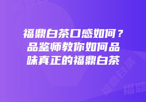 福鼎白茶口感如何？品鉴师教你如何品味真正的福鼎白茶