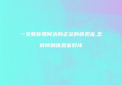 一文教你如何选购正宗的铁观音,怎样辨别铁观音好坏