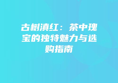 古树滇红：茶中瑰宝的独特魅力与选购指南