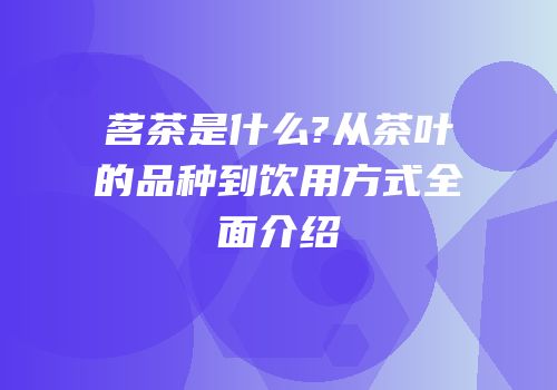 茗茶是什么?从茶叶的品种到饮用方式全面介绍