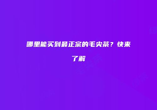 哪里能买到最正宗的毛尖茶？快来了解