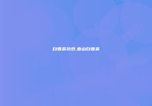 白雪茶功效,春山白雪茶