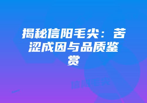 揭秘信阳毛尖：苦涩成因与品质鉴赏