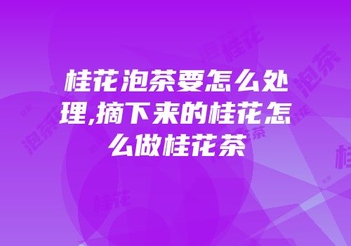 桂花泡茶要怎么处理,摘下来的桂花怎么做桂花茶