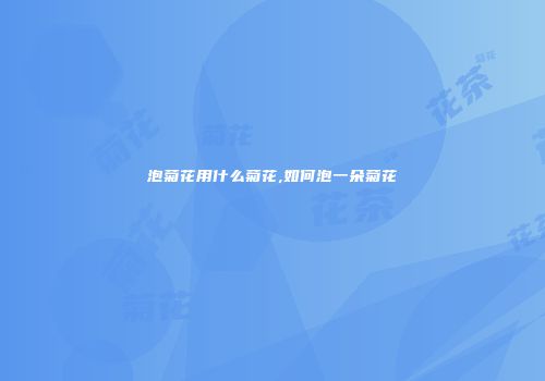 泡菊花用什么菊花,如何泡一朵菊花