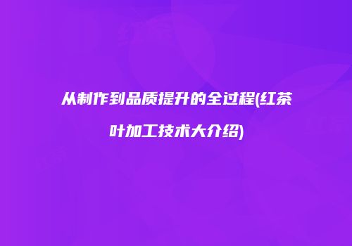 从制作到品质提升的全过程(红茶叶加工技术大介绍)