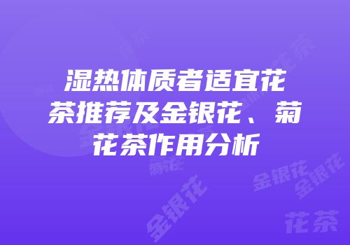 湿热体质者适宜花茶推荐及金银花、菊花茶作用分析