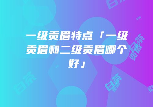 一级贡眉特点「一级贡眉和二级贡眉哪个好」