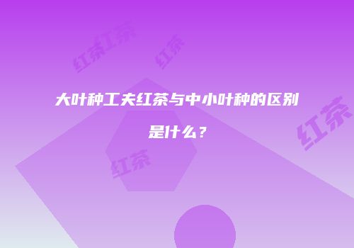 大叶种工夫红茶与中小叶种的区别是什么？
