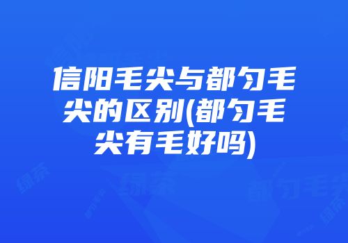 信阳毛尖与都匀毛尖的区别(都匀毛尖有毛好吗)
