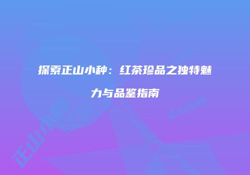 探索正山小种：红茶珍品之独特魅力与品鉴指南