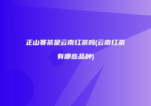 正山赛茶是云南红茶吗(云南红茶有哪些品种)
